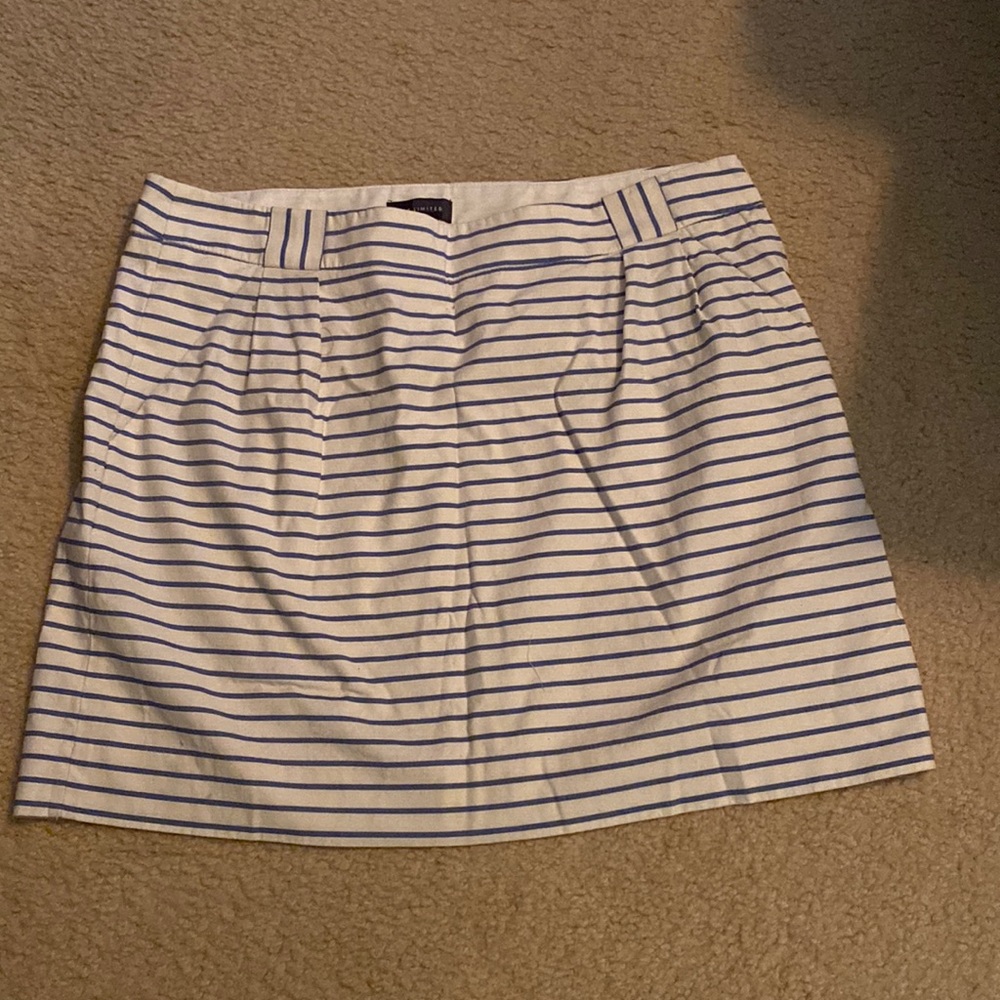 Cute skirt from The Limited